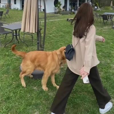 美丽的塔